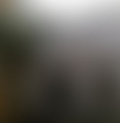 House in an olive grove