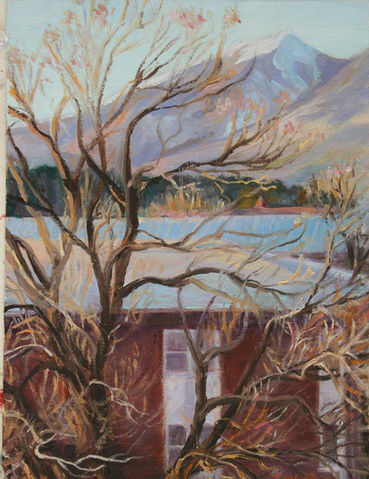 A view from Riley hall at NAU Medium Oil on Canvas board Size 6x8inches.jpg