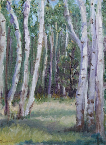 title Secret Aspen Grove Plein Air Medium oil on linen board Size 6 X 8.JPG