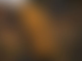 Foundation joins new EU project to protect Jewish cemeteries 