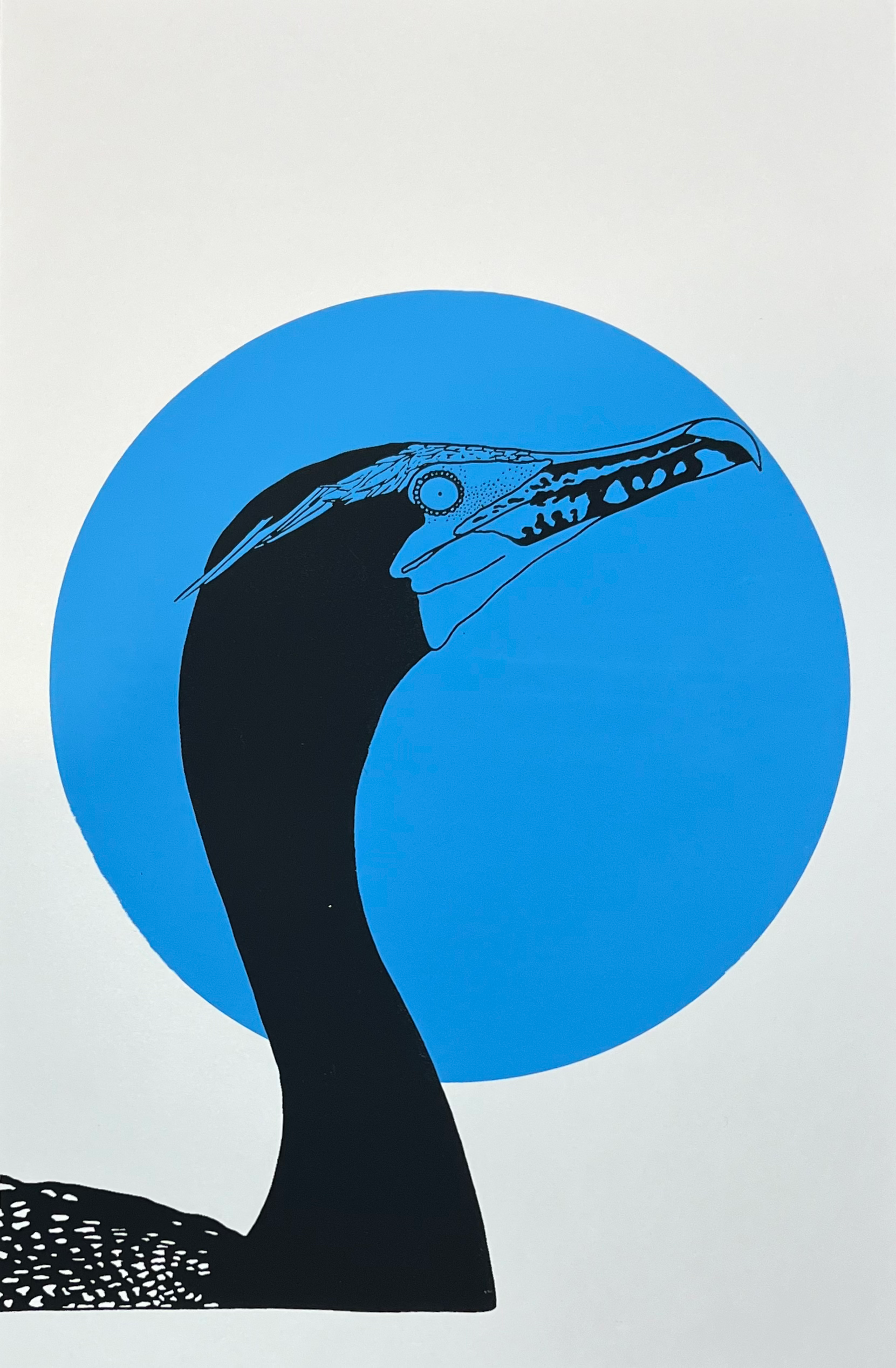 Double-crested Cormorant Print