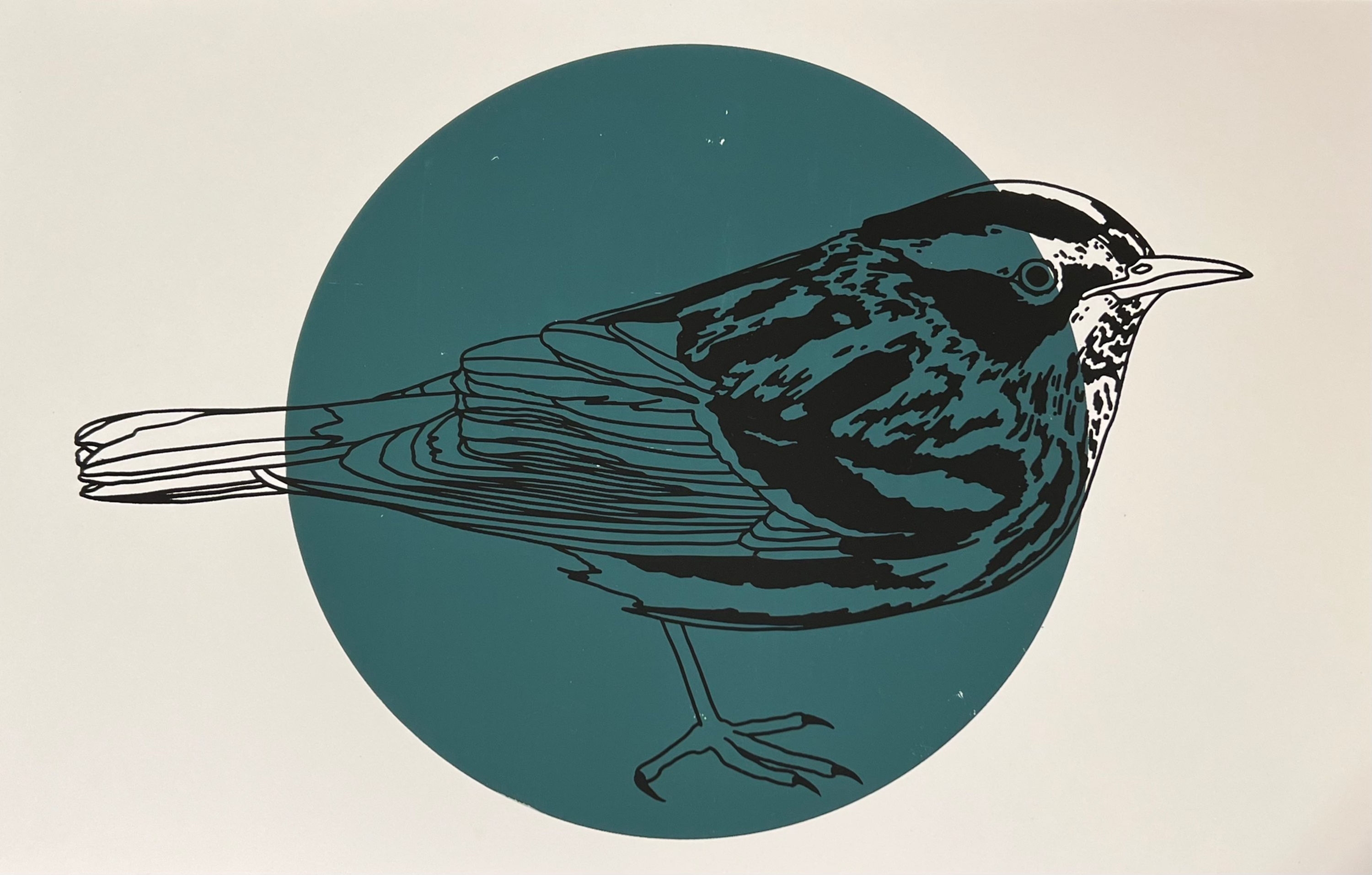 Black and White Warbler Print