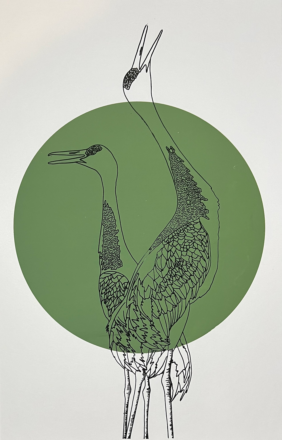 Thumbnail: Sandhill Crane Print