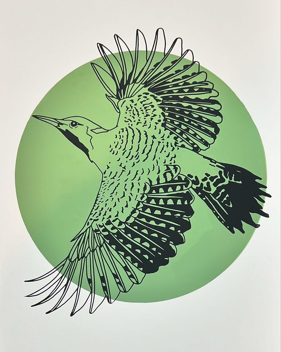 Thumbnail: Northern Flicker Print