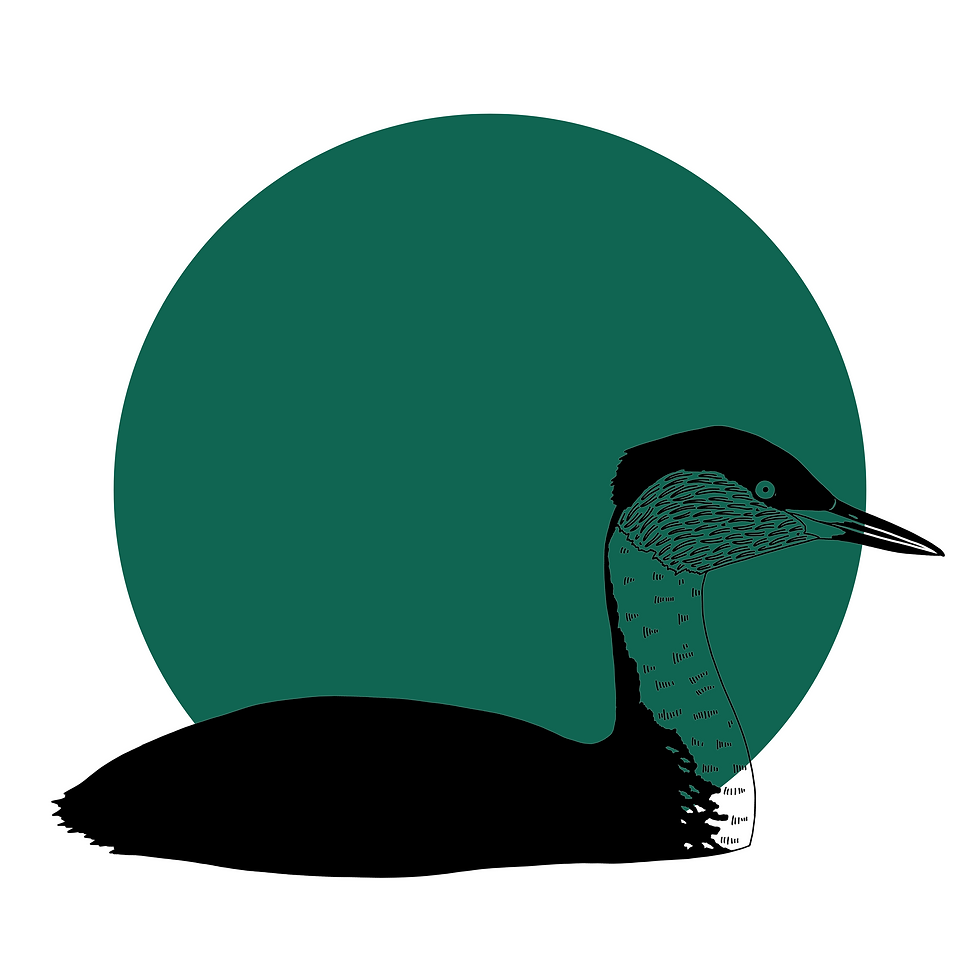 Thumbnail: Red-necked Grebe Print
