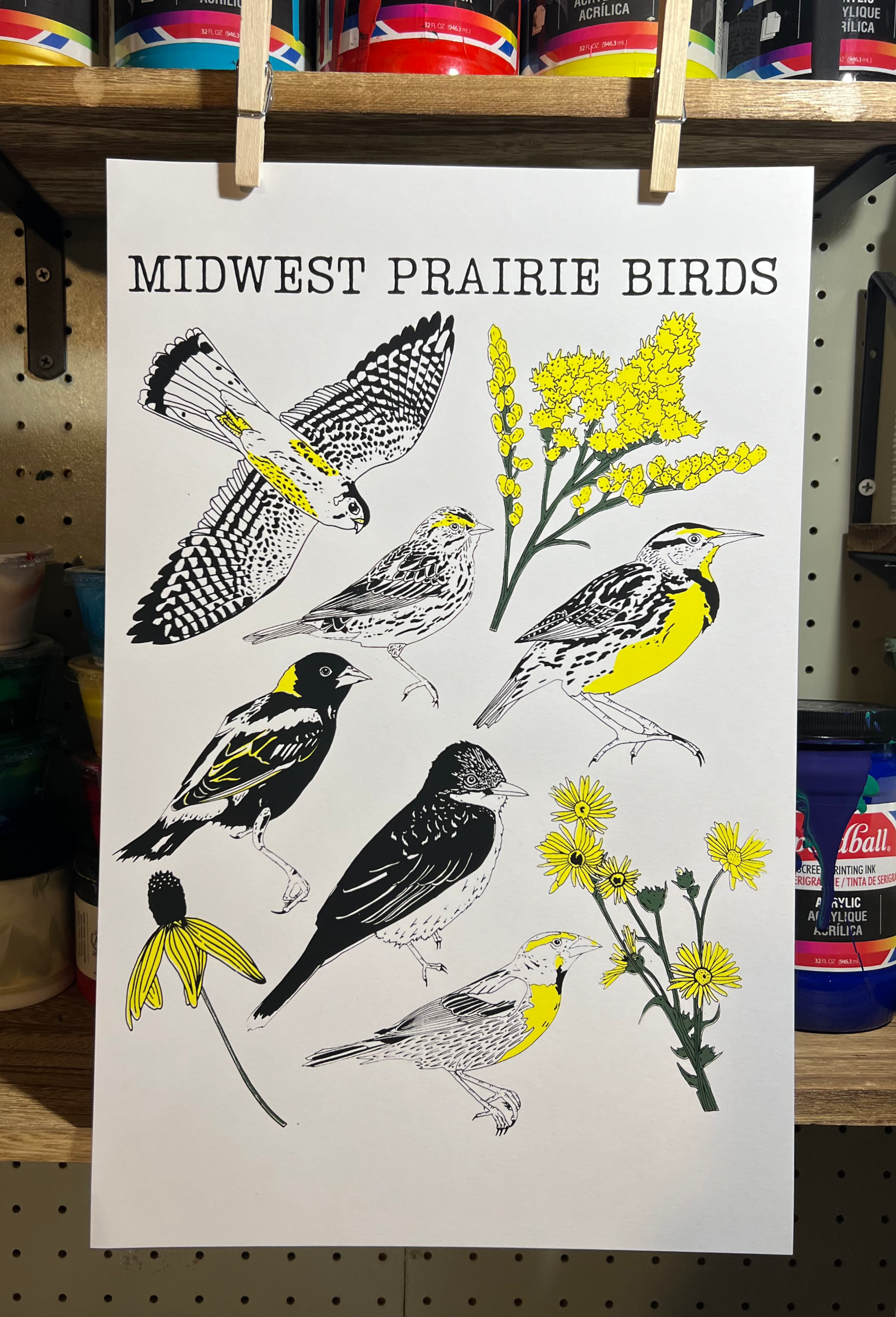 Midwest Prairie Birds Print