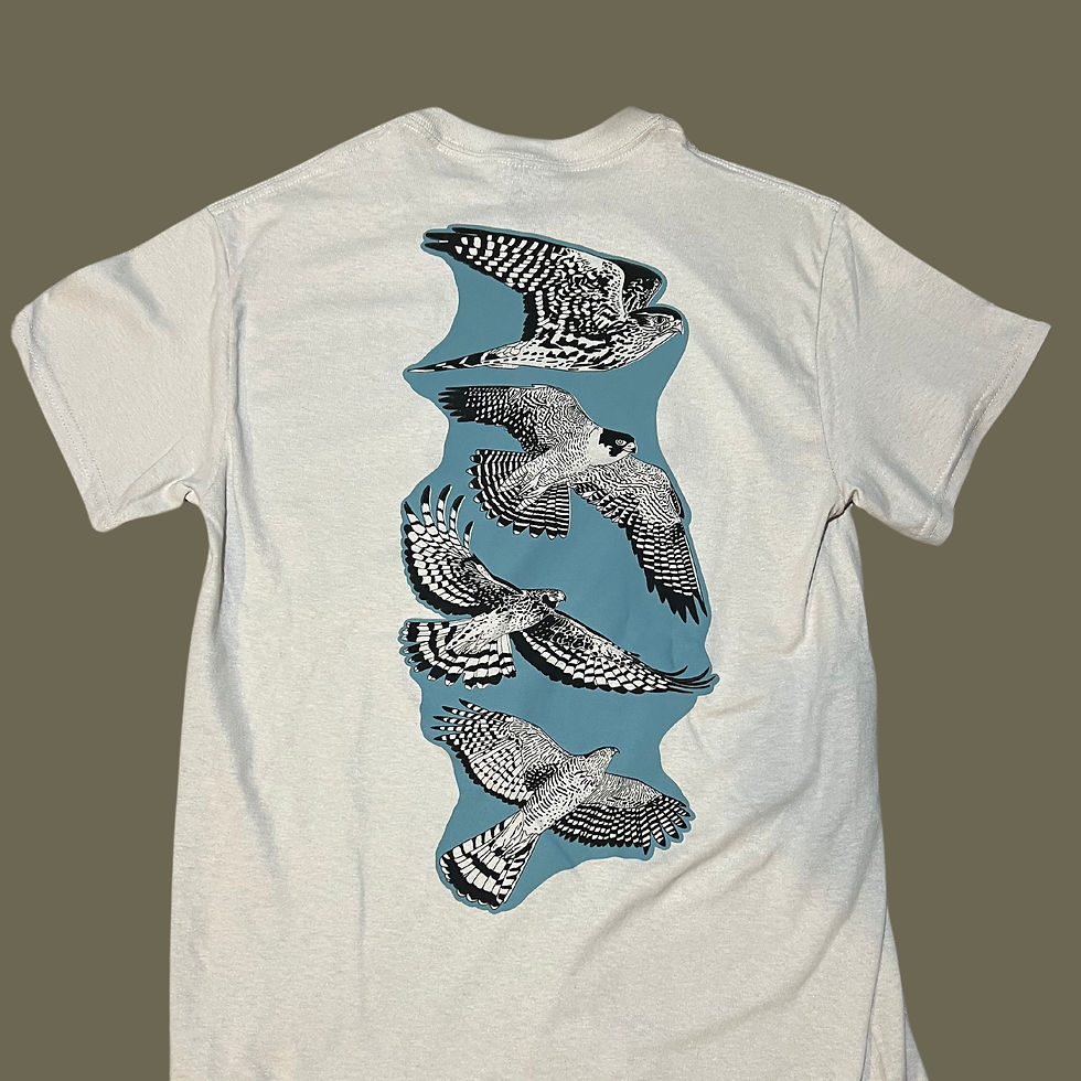Thumbnail: Raptor T-Shirt