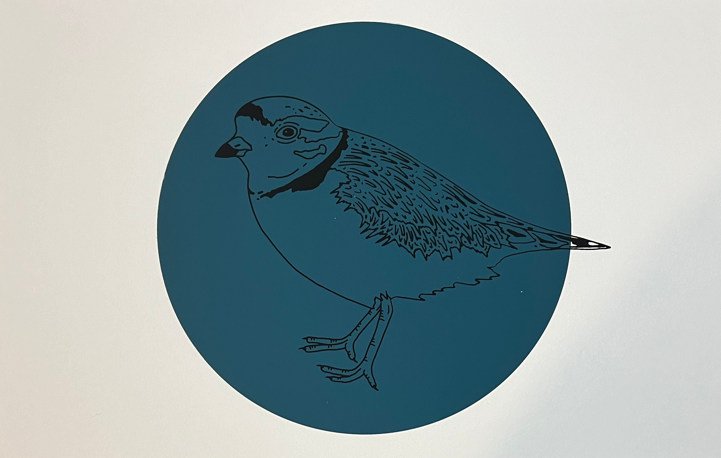Piping Plover Print