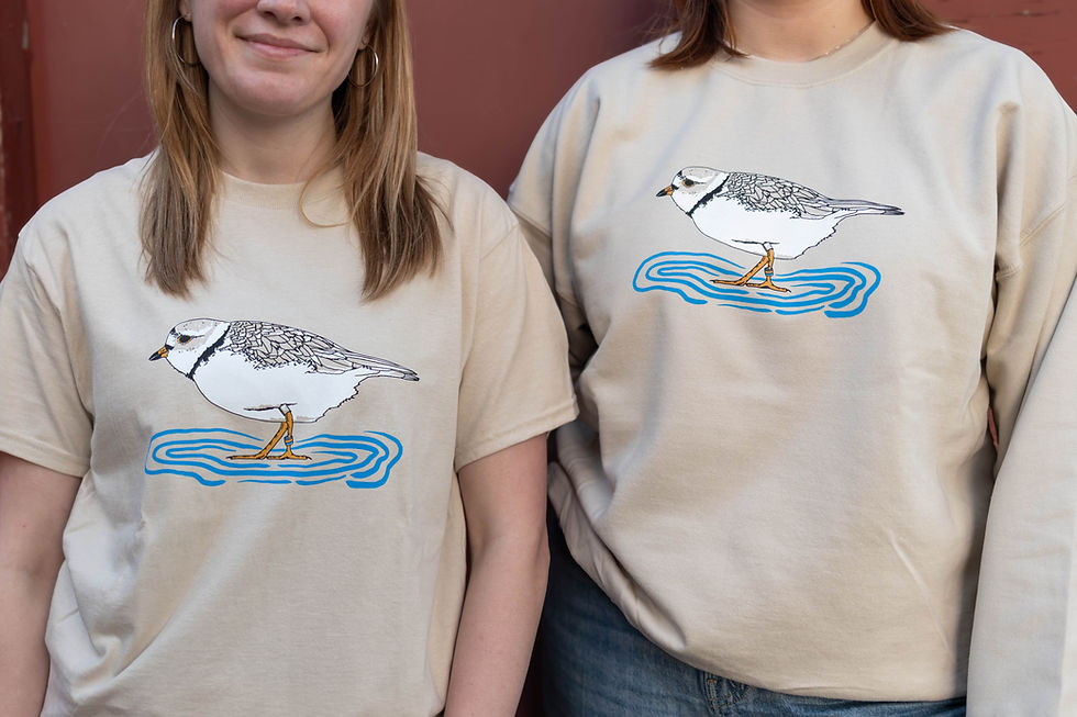 Thumbnail: Piping Plover Crewneck