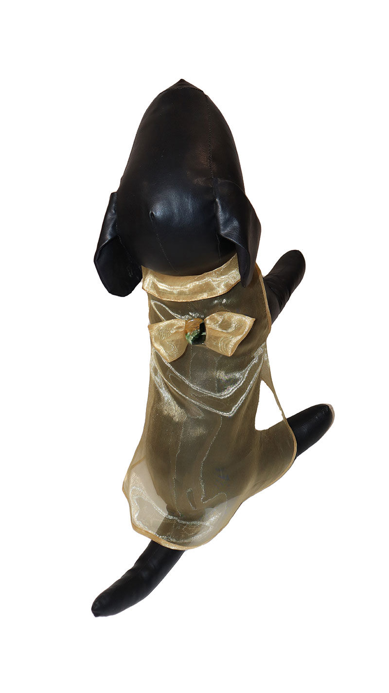 Thumbnail: KlassiPet "Golden Glow"