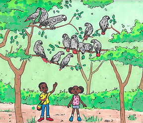 Website Grey Perrots.jpg