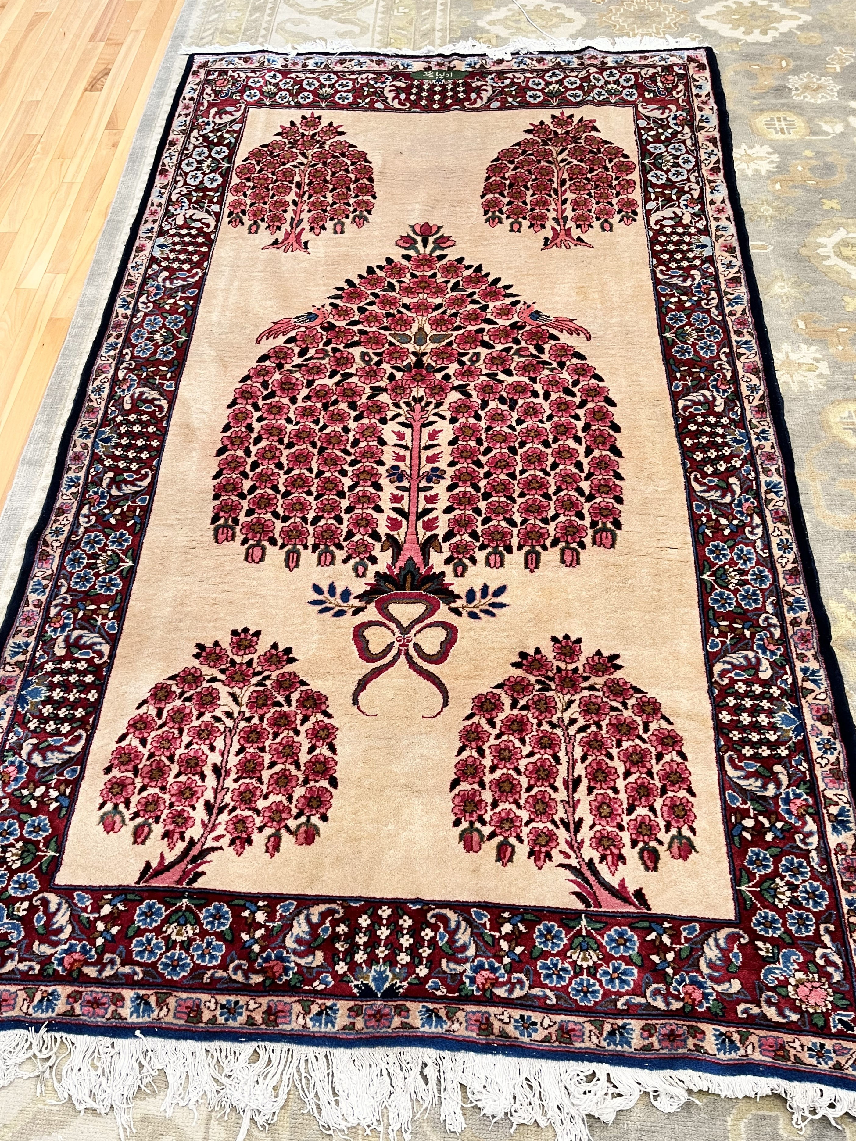 Sarouk Farahan 4'11" x 8'5"
