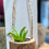 Thumbnail: Wooden One Hole Flower Vase 3" H x 5" W