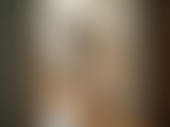 Subscription Pest Control: Why Free Revisits Matter