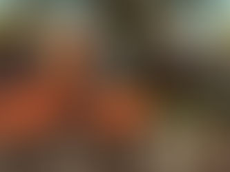 Atenção domiciliar: uma perspectiva alternativa de oferta de cuidados às pessoas idosas