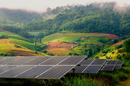 Paysage d'une forêt et de champs
