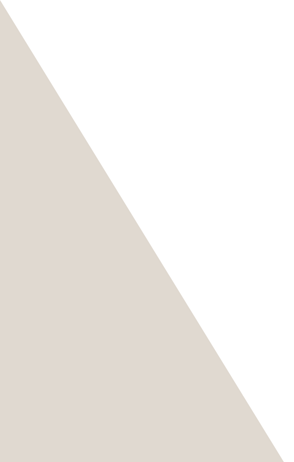 website_triangle_accent_light_tan.png