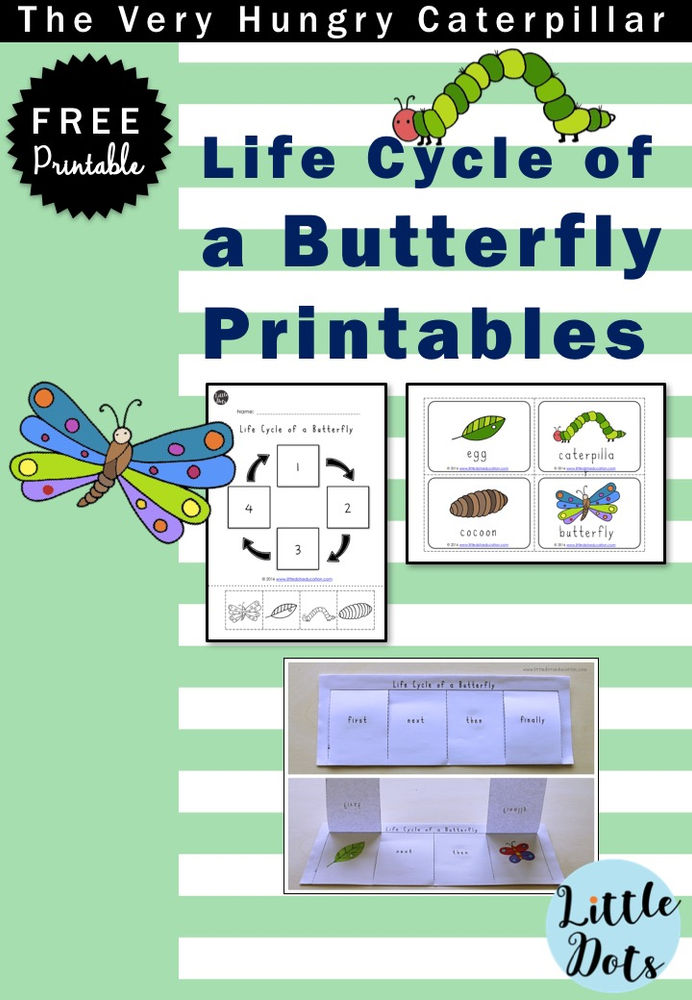 The Very Hungry Caterpillar Theme Free Life Cycle of a Butterfly Prin