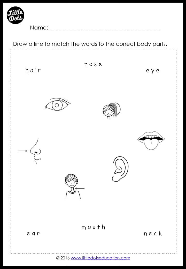 Free Body Parts Worksheets for Preschool free-body-parts-worksheets-for-preschool