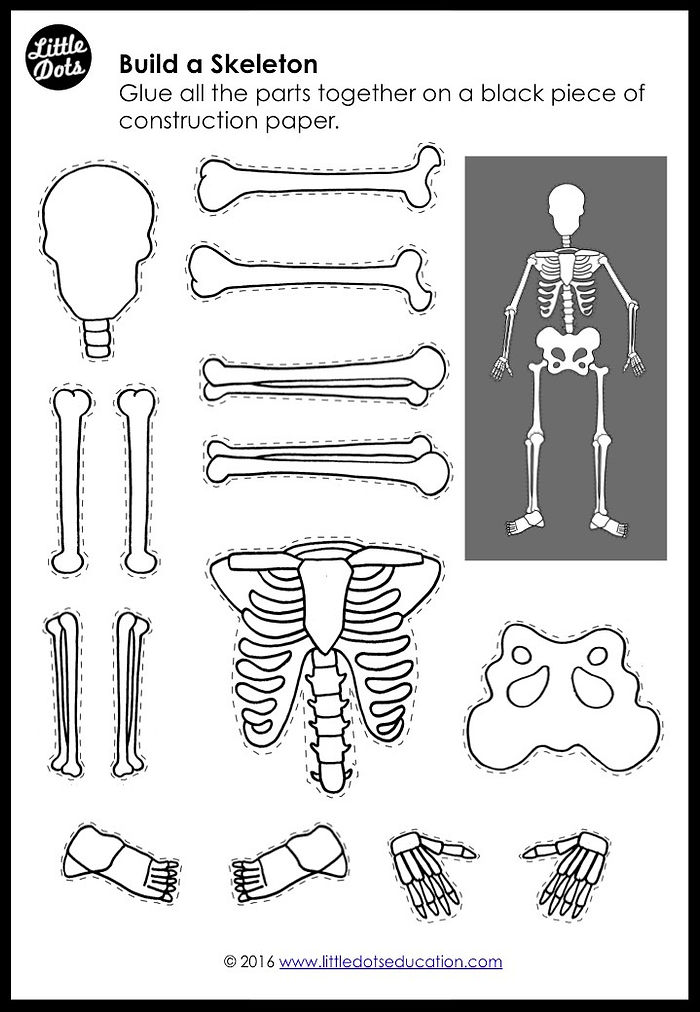 My Body: Bones and Skeleton Activities and Printables for K-2 my-body-bones-and-skeleton-activities-and-printables-for-k-2