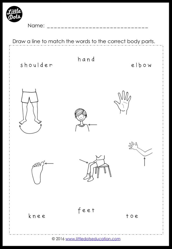 Free Body Parts Worksheets for Preschool