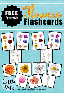 Flowers Flashcards.jpg
