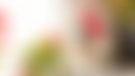 Kimberbell's NEW ONE day event Garden Guild!!!