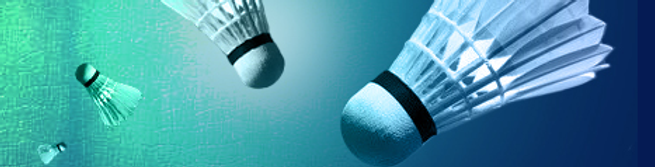 2013-badminton-photo-volants.png