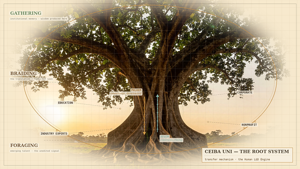 Ceiba tree diagram showing Gathering, Braiding, Foraging and other labeled parts