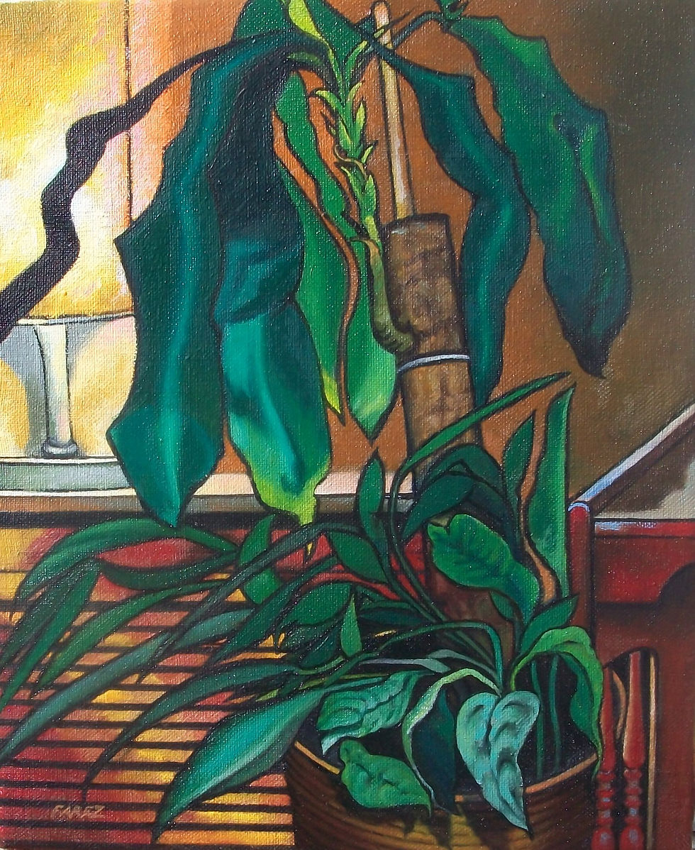 Planta decorativa de interior