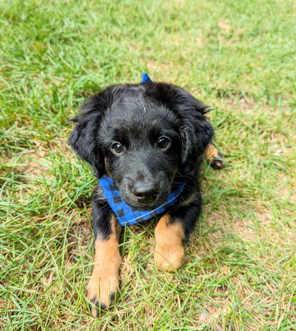 original_41f5d210-f6ce-4ccc-9b38-bc94faa21da2_PXL_20220724_201404468