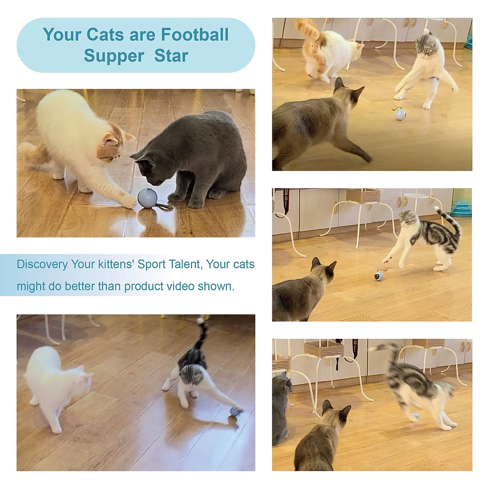 Thumbnail: Interactive Automatic Cat Toy Bundle with Mice and Feather, USB Rechargeable