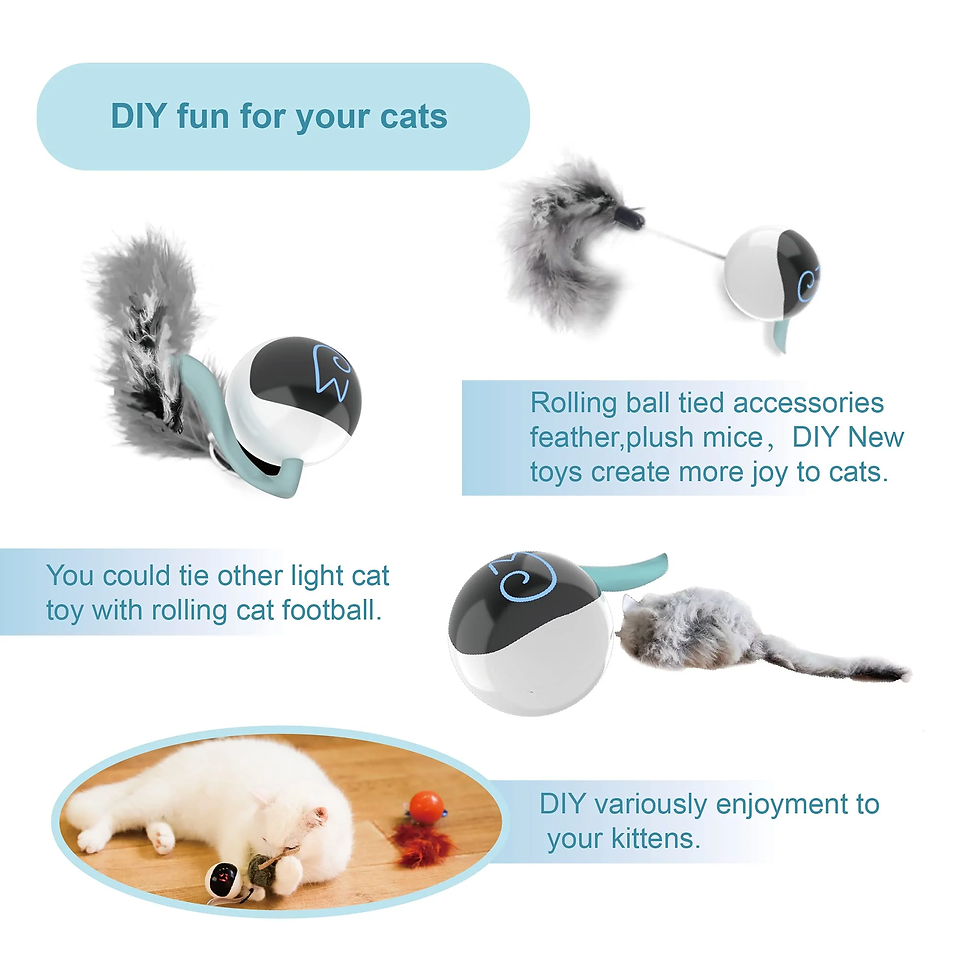 Thumbnail: Interactive Automatic Cat Toy Bundle with Mice and Feather, USB Rechargeable