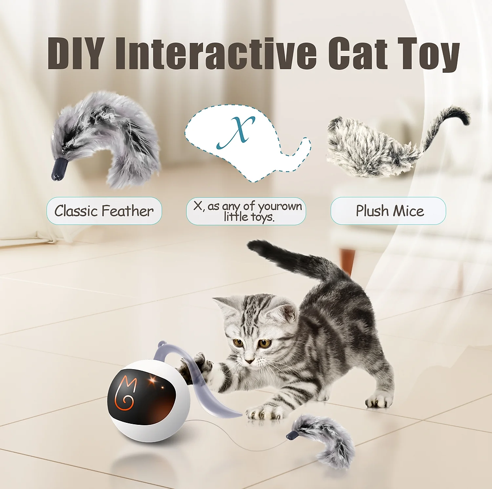 Thumbnail: Interactive Automatic Cat Toy Bundle with Mice and Feather, USB Rechargeable