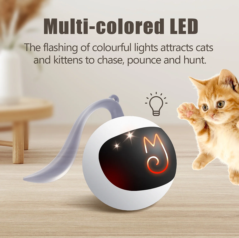Thumbnail: Interactive Automatic Cat Toy Bundle with Mice and Feather, USB Rechargeable