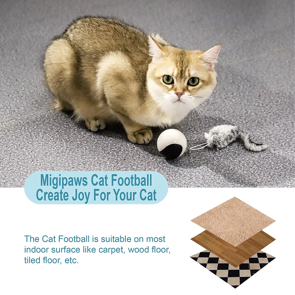Thumbnail: Interactive Automatic Cat Toy Bundle with Mice and Feather, USB Rechargeable