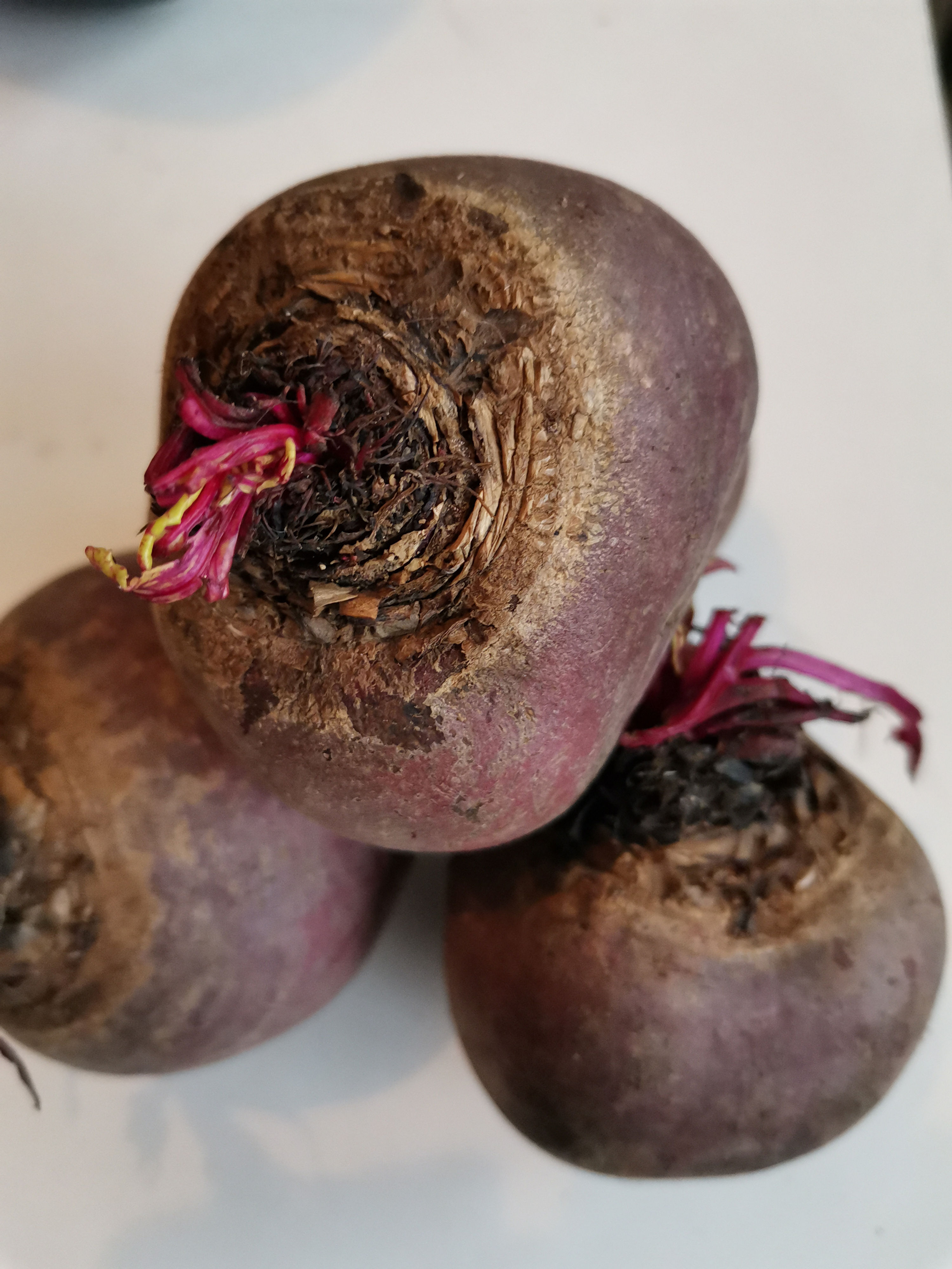 500 gr Betterave crue nouvelle