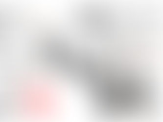 ブログを開設してみました。