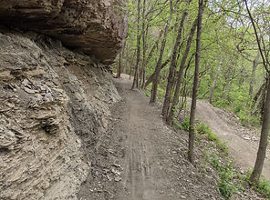 PXL_20220508_222117302.MP.jpg