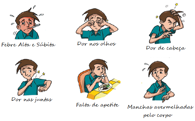 Escolas desenvolvem projetos de combate à dengue