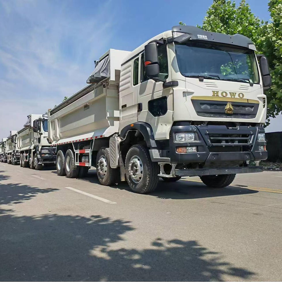 Miniature : Used Sinotruk HOWO TX 8*4 tipper truck