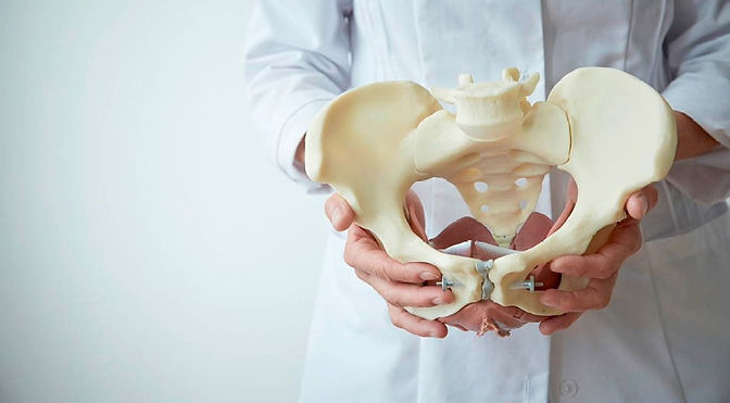 pelvic_rehabilitation_pelvic_model-942.jpg