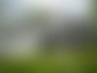 Weatherproof Your View: How to Keep Your Windows in Great Shape Through Oklahoma Weather