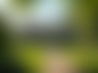 How to Maintain and Protect Your Home Exterior