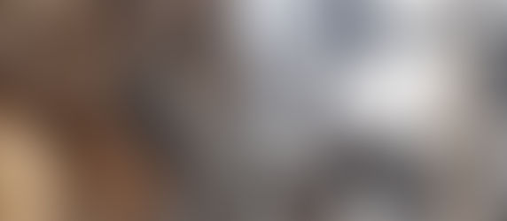 Greniers à sel d'Honfleur