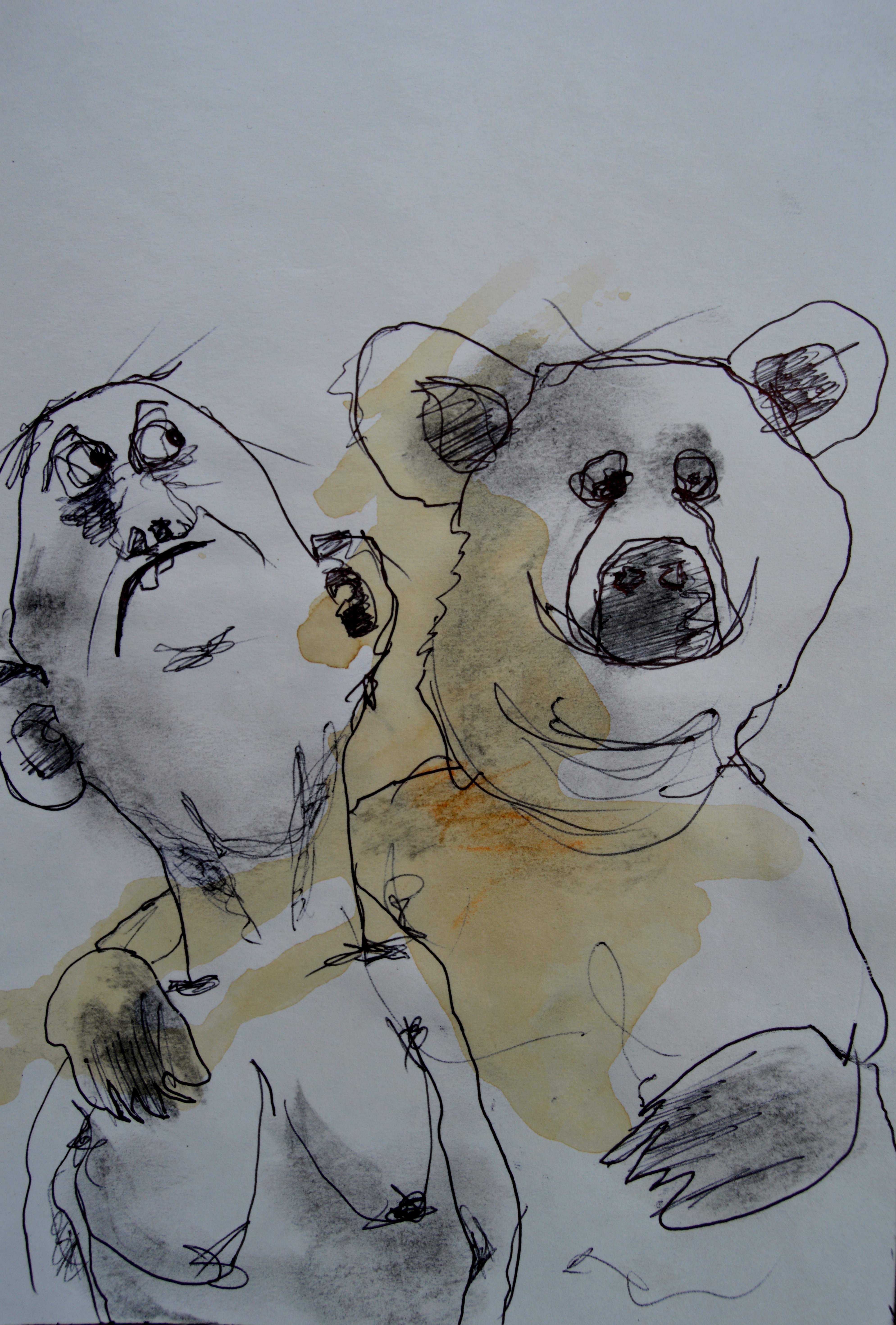 Teddy Bear