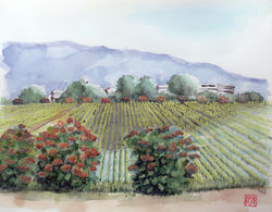 006_あじさいの里(神奈川・開成町)-2007／水彩F2