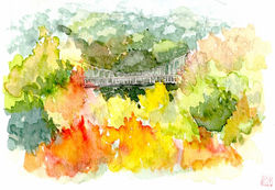 わんぱくらんどの秋s