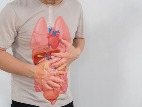 Person holding their abdomen with a transparent anatomical overlay showing the digestive organs including the stomach, intestines, liver, and colon, illustrating gut health and digestive discomfort.