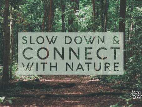 Slow Down and Connect with Nature (Spiritual Tool #8)